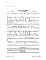 Sample template.jpg Sample template.jpg