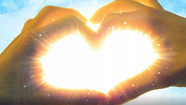 сердце.png сердце.png