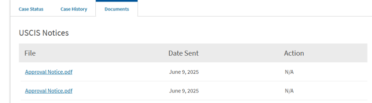 Screenshot 2025-06-10 090723.png Screenshot 2025-06-10 090723.png