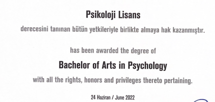 Screenshot 2025-08-01 at 9.33.28 AM.png