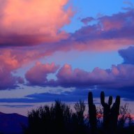 singkorn dhepyasuvan