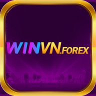winvnforex